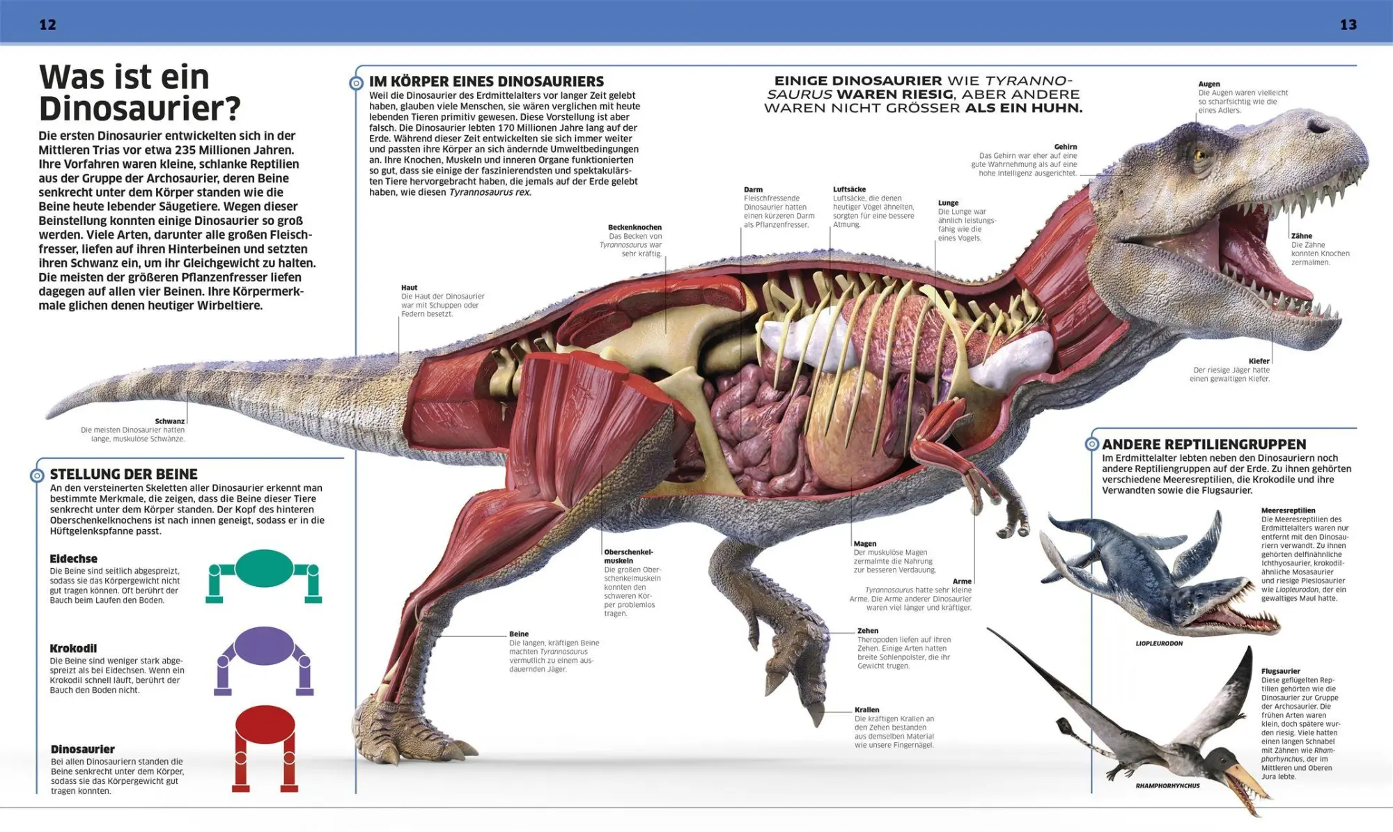 Bild: 9783831053643 | DK Wissen. Dinosaurier | John Woodward | Buch | DK Wissen | 208 S.