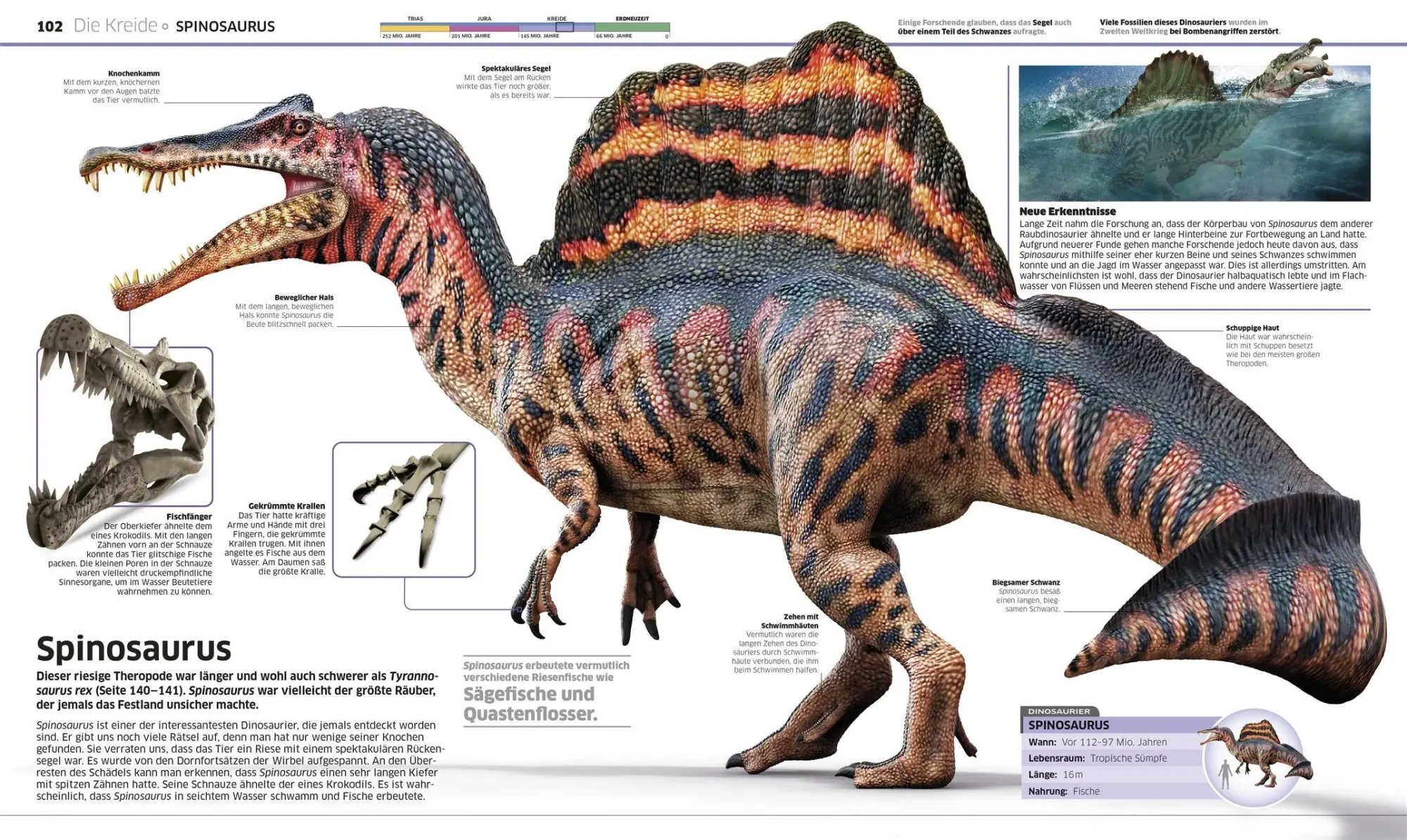 Bild: 9783831053643 | DK Wissen. Dinosaurier | John Woodward | Buch | DK Wissen | 208 S.