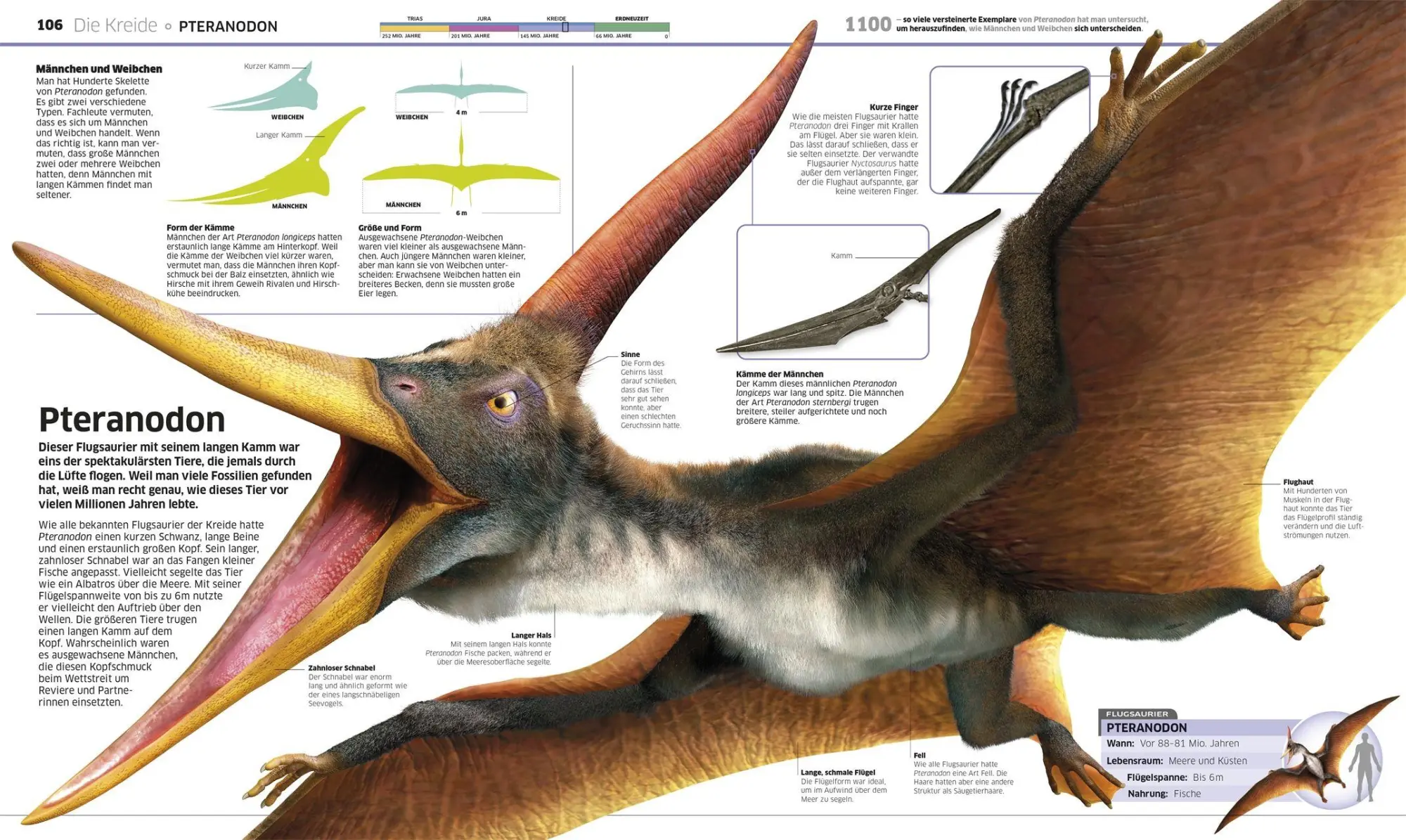 Bild: 9783831053643 | DK Wissen. Dinosaurier | John Woodward | Buch | DK Wissen | 208 S.