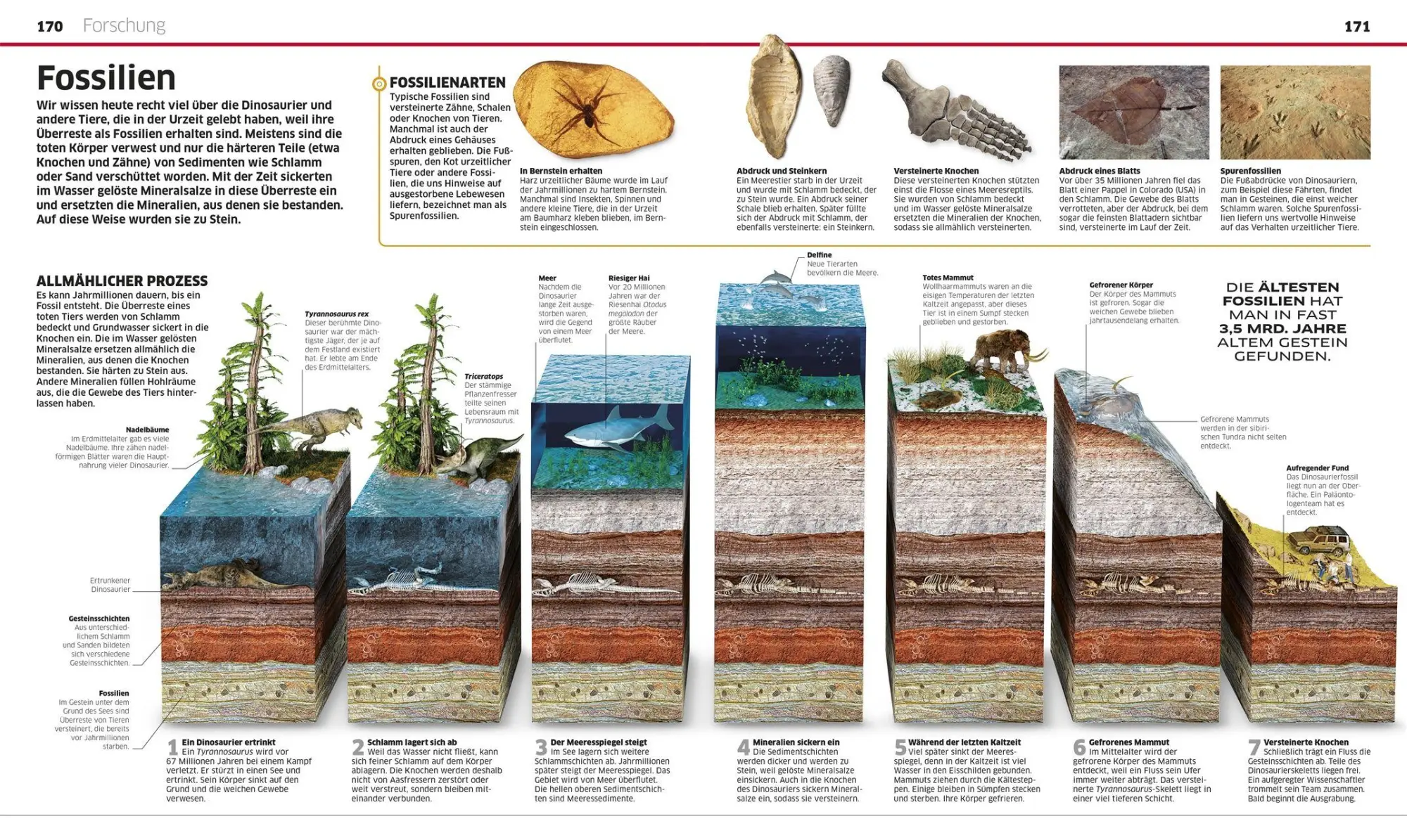 Bild: 9783831053643 | DK Wissen. Dinosaurier | John Woodward | Buch | DK Wissen | 208 S.