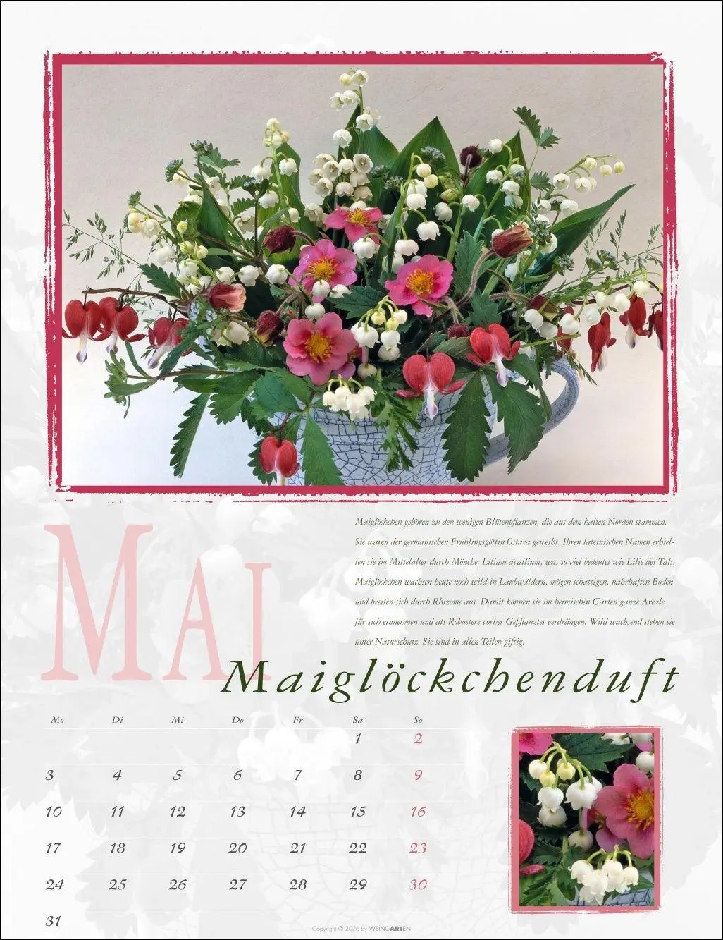 Bild: 9783839903643 | Duftkalender 2027 | Rita Bellmann | Kalender | Spiralbindung | 14 S.