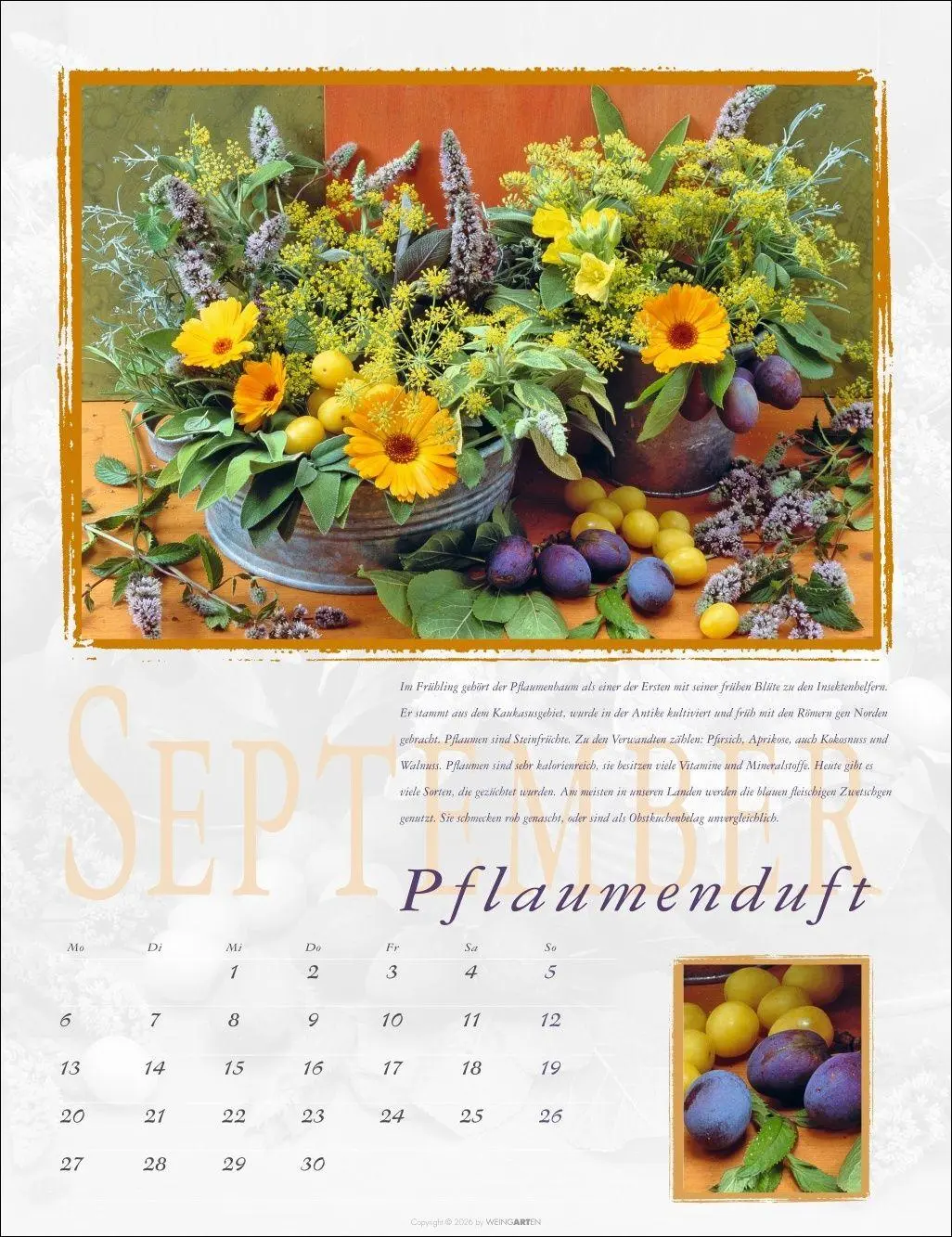 Bild: 9783839903643 | Duftkalender 2027 | Rita Bellmann | Kalender | Spiralbindung | 14 S.