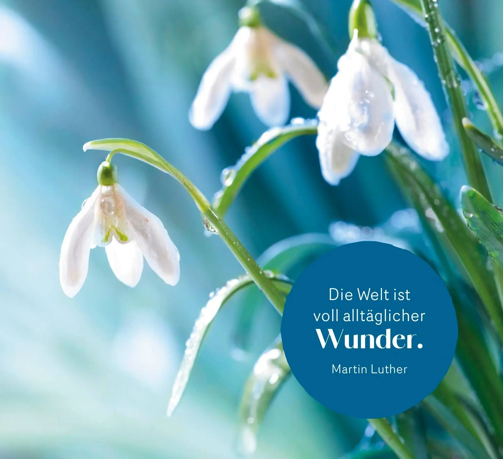 Bild: 9783848503643 | Wahre Stärke kommt von innen | Groh Verlag | Taschenbuch | 144 S.