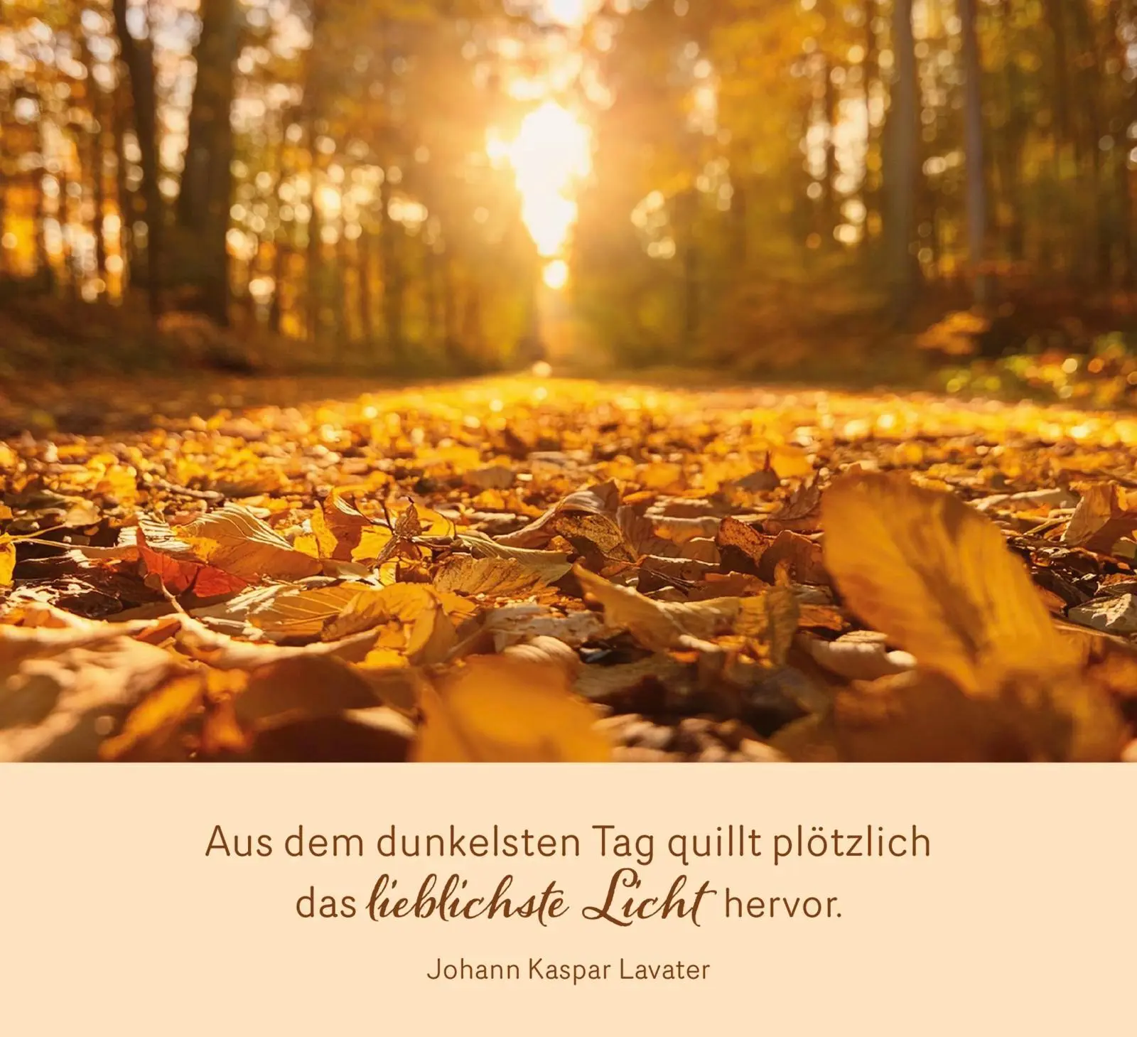 Bild: 9783848503643 | Wahre Stärke kommt von innen | Groh Verlag | Taschenbuch | 144 S.