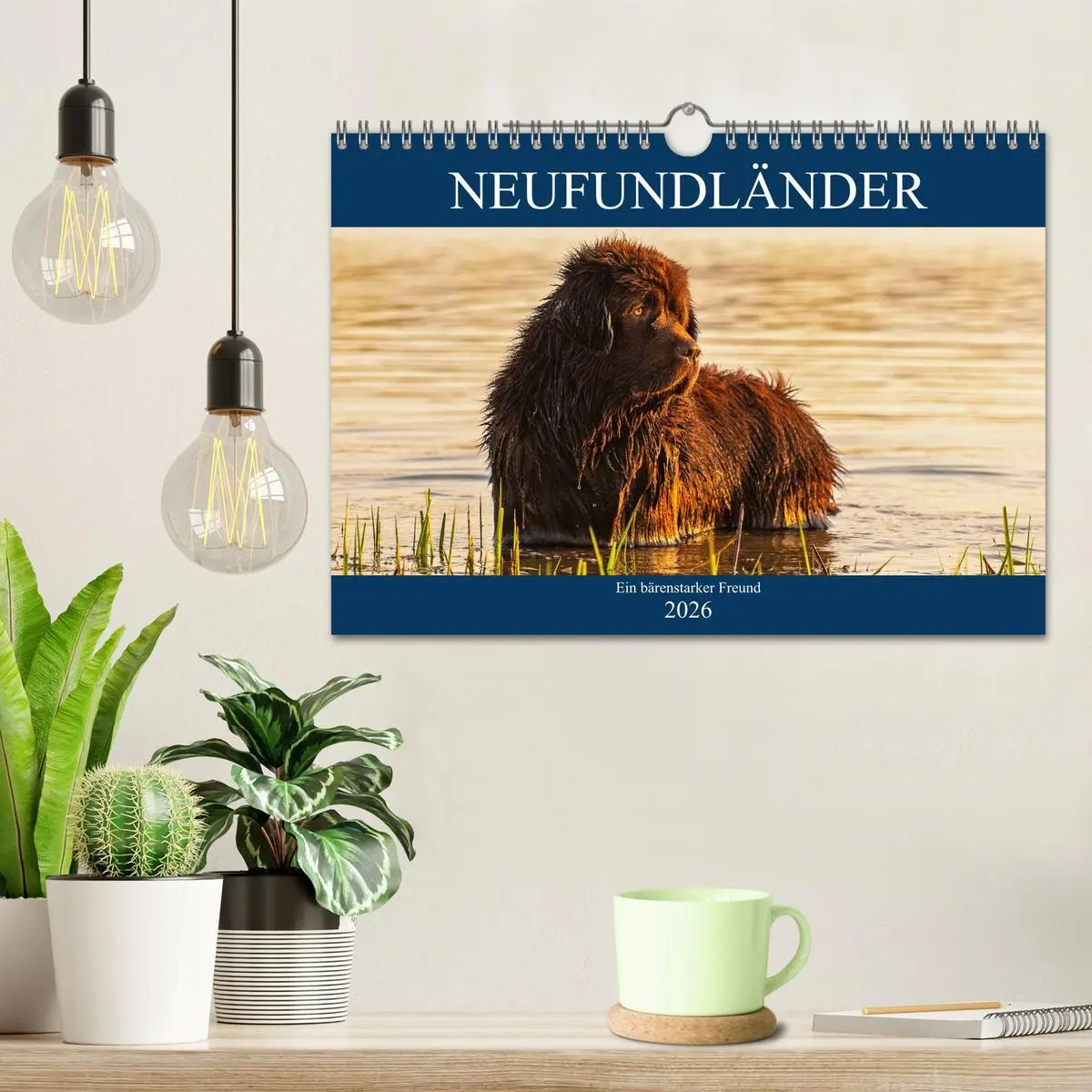 Bild: 9783457823743 | Neufundländer - Ein bärenstarker Freund (Wandkalender 2026 DIN A4...
