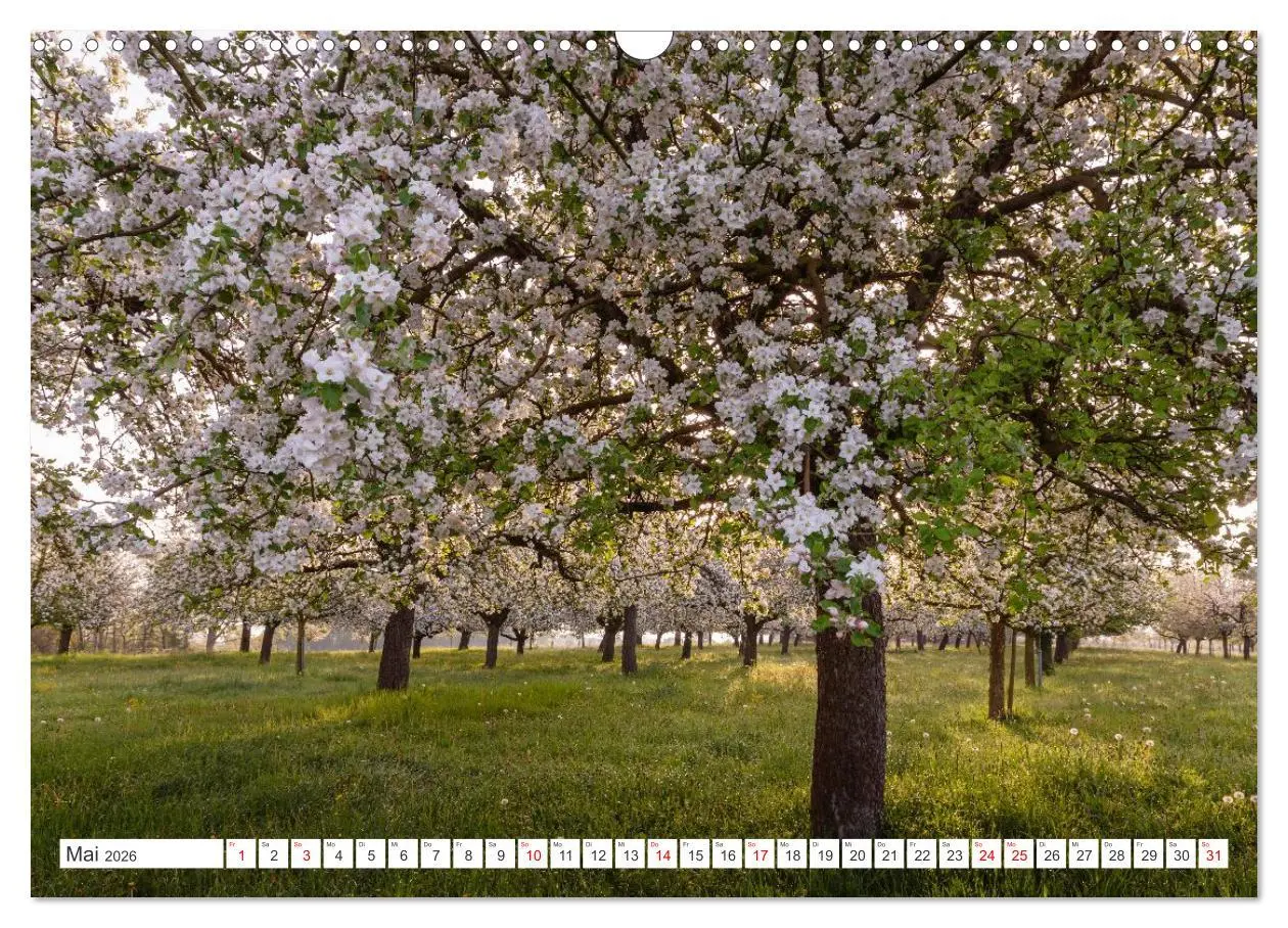 Bild: 9783457993743 | Kanton Thurgau (Wandkalender 2026 DIN A3 quer), CALVENDO...