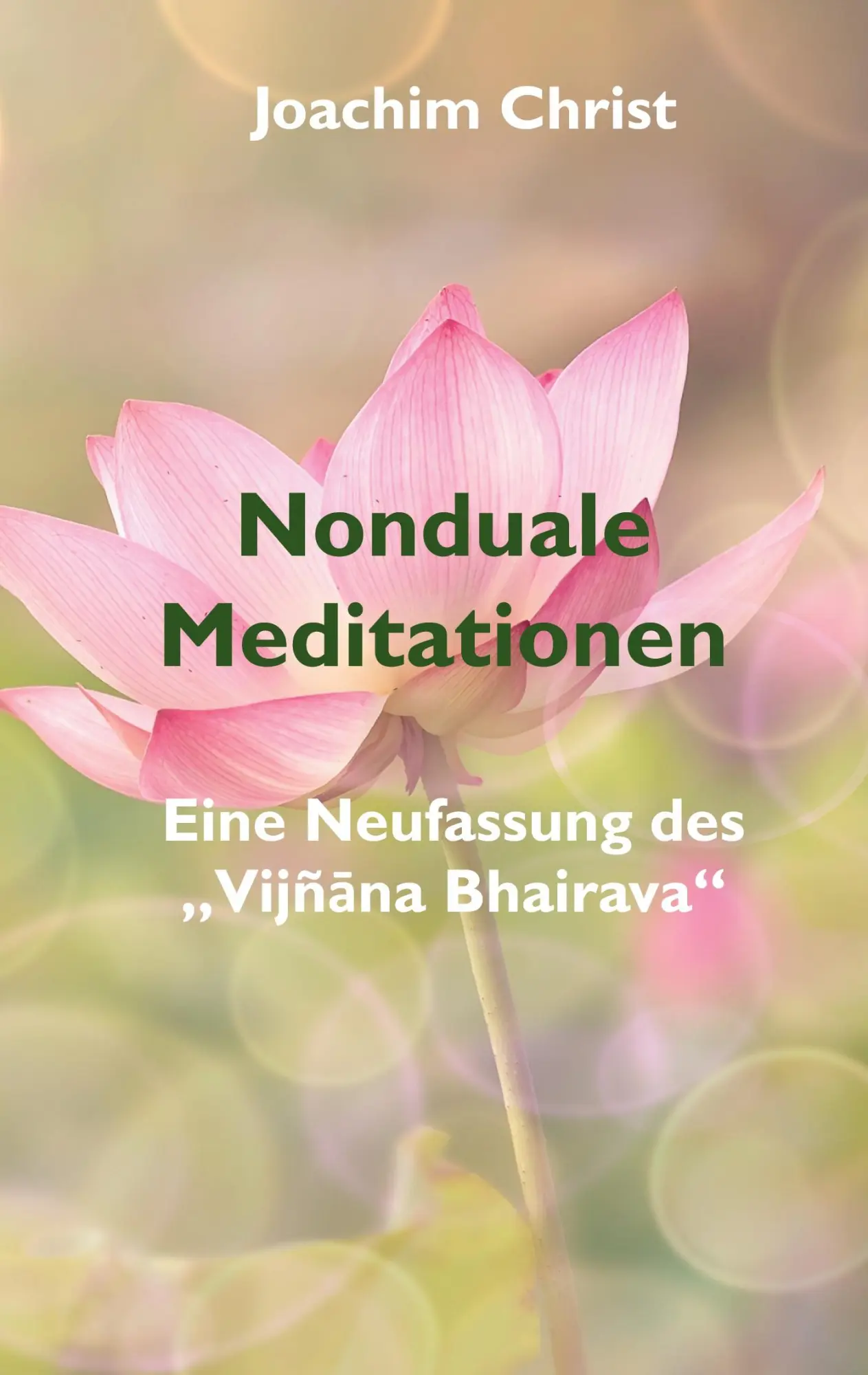 Cover: 9783819263743 | Nonduale Meditationen | Eine Neufassung des "Vijñana Bhairava" | Buch
