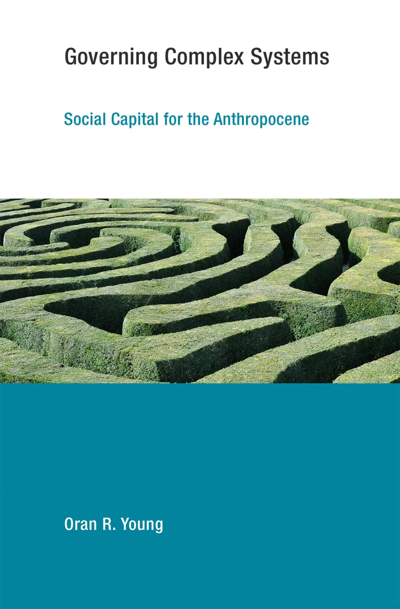 Cover: 9780262533843 | Governing Complex Systems | Social Capital for the Anthropocene | Buch