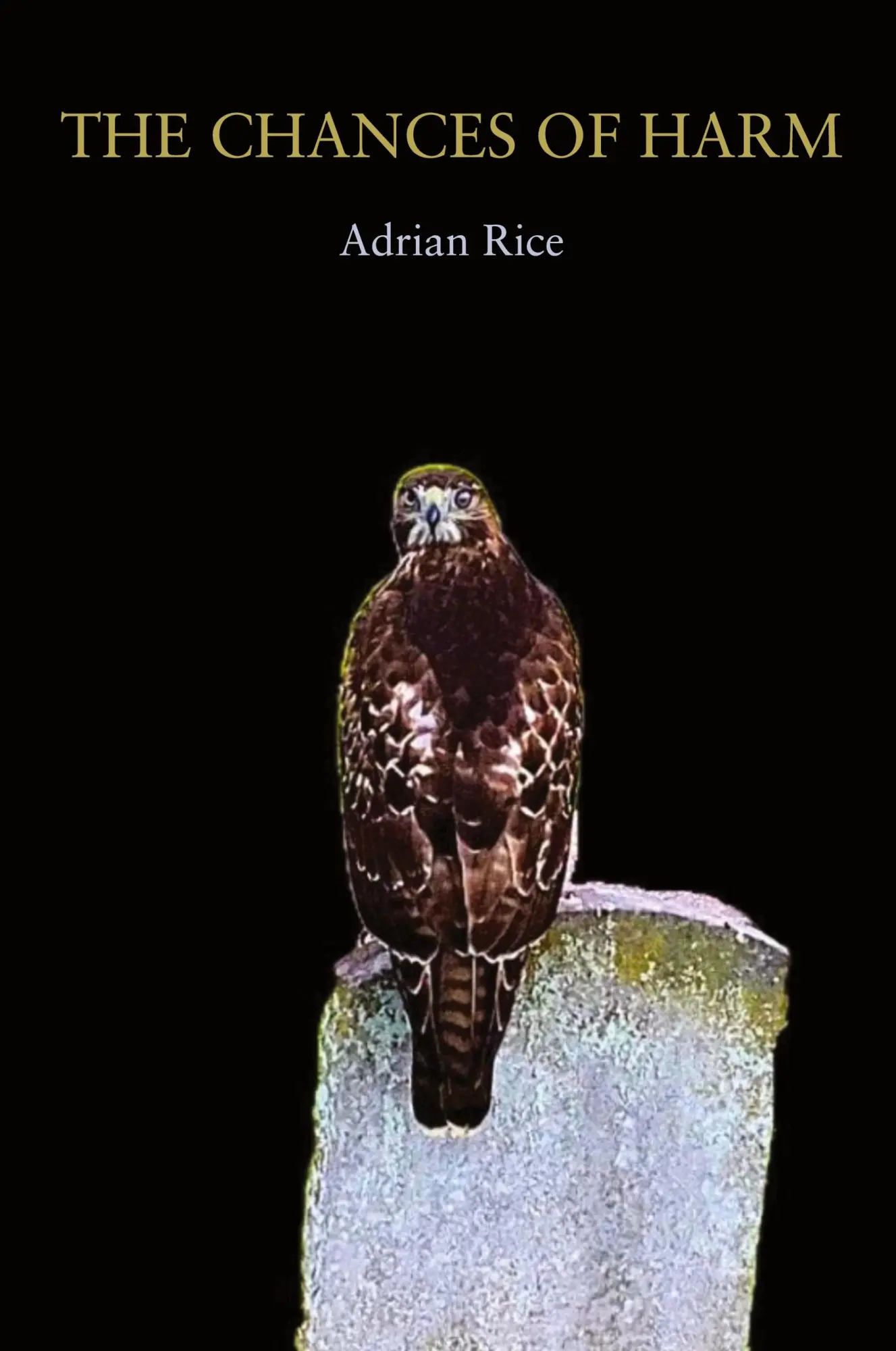 Cover: 9781950413843 | The Chances of Harm | Poems | Adrian Rice | Taschenbuch | Englisch