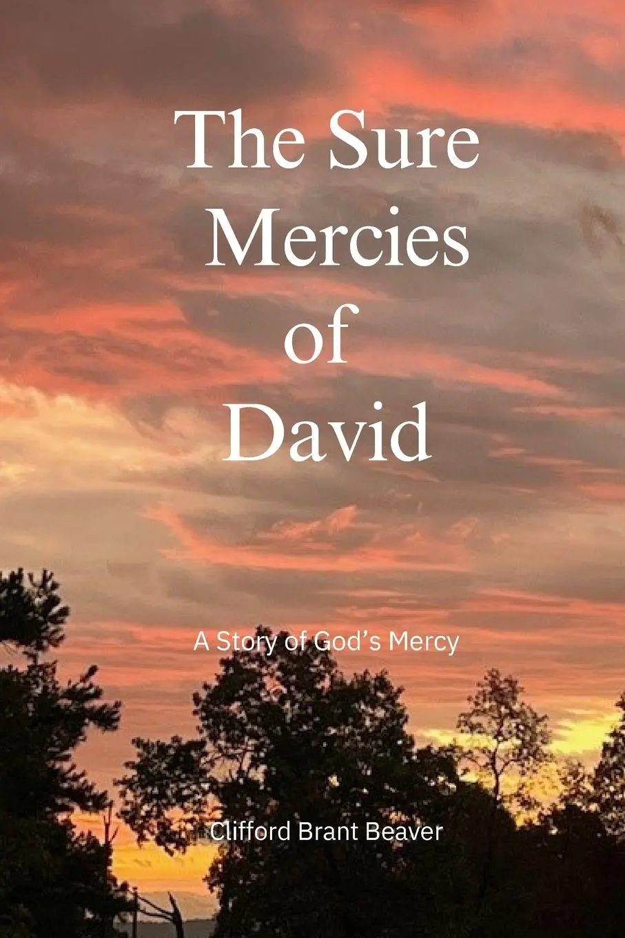 Cover: 9798990303843 | The Sure Mercies of David | A Story of God's Mercy | Beaver | Buch