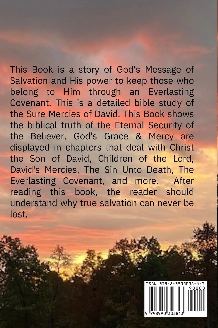 Rückseite: 9798990303843 | The Sure Mercies of David | A Story of God's Mercy | Beaver | Buch