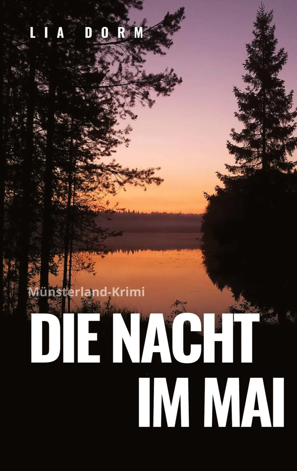 Cover: 9783384543943 | Die Nacht im Mai | Lia Dorm | Taschenbuch | 432 S. | Deutsch | 2025