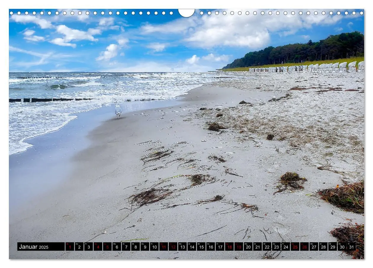 Bild: 9783435023943 | Fischland - Darß- Zingst (Wandkalender 2025 DIN A3 quer), CALVENDO...