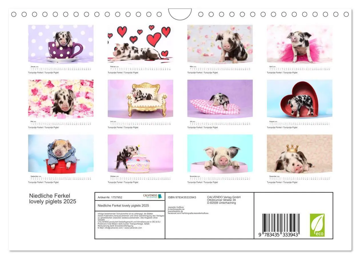 Bild: 9783435333943 | Niedliche Ferkel lovely piglets 2025 (Wandkalender 2025 DIN A4...