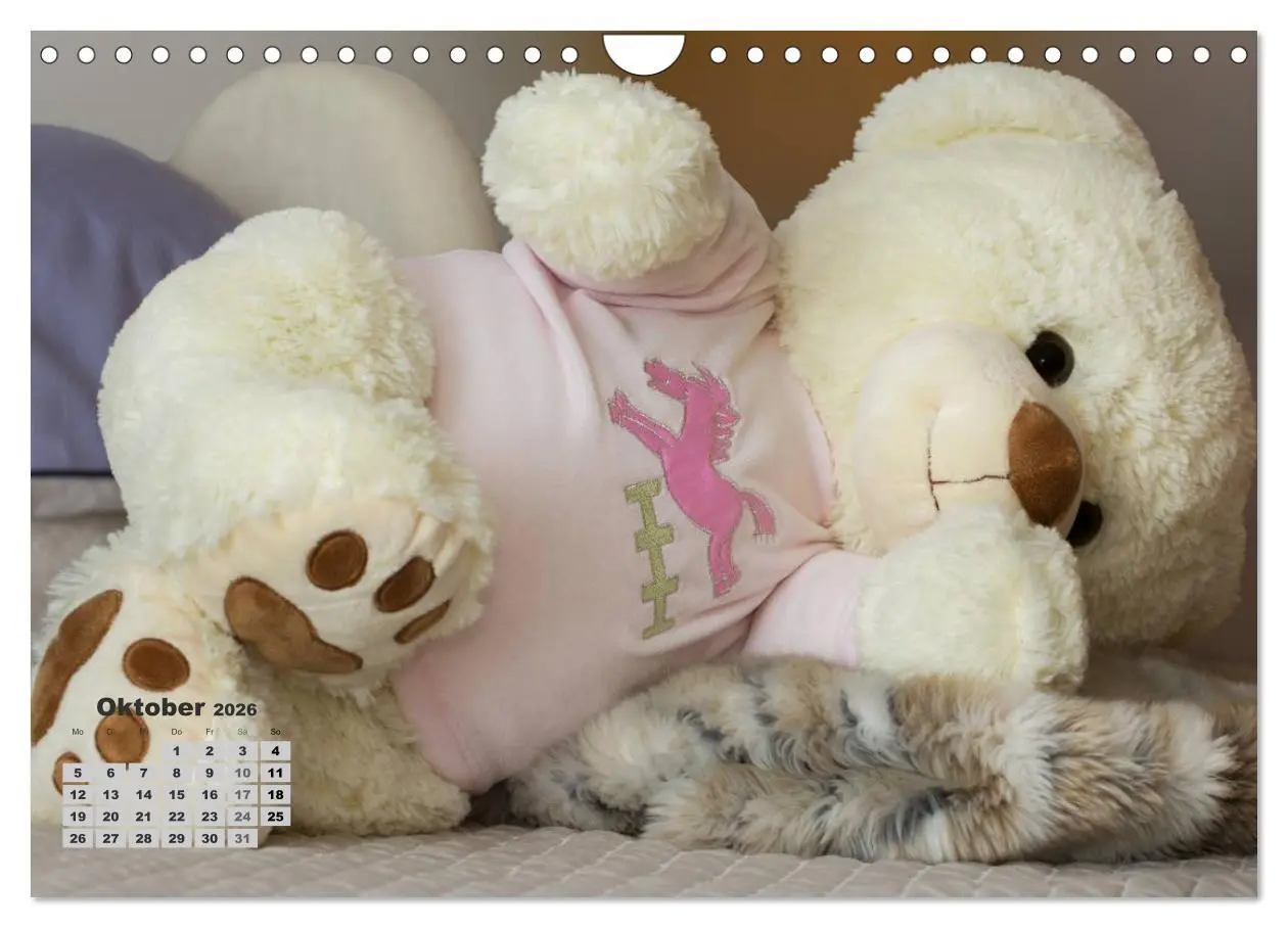 Bild: 9783457973943 | Teddys, wollen wir Kalender anschauen? (Wandkalender 2026 DIN A4...