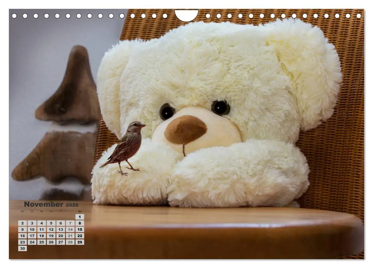 Bild: 9783457973943 | Teddys, wollen wir Kalender anschauen? (Wandkalender 2026 DIN A4...