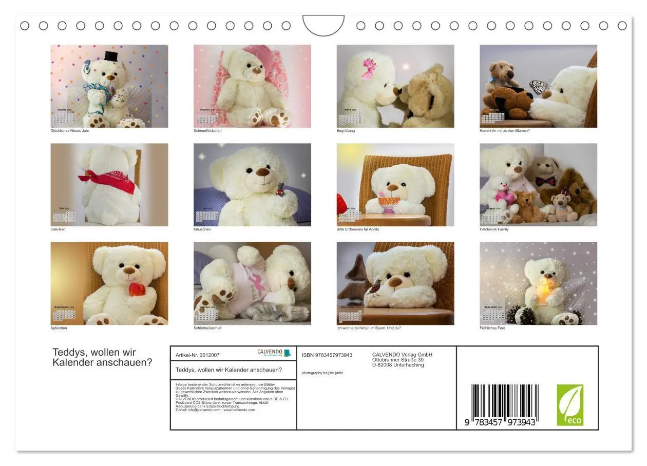 Bild: 9783457973943 | Teddys, wollen wir Kalender anschauen? (Wandkalender 2026 DIN A4...