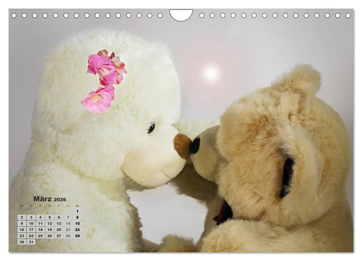 Bild: 9783457973943 | Teddys, wollen wir Kalender anschauen? (Wandkalender 2026 DIN A4...