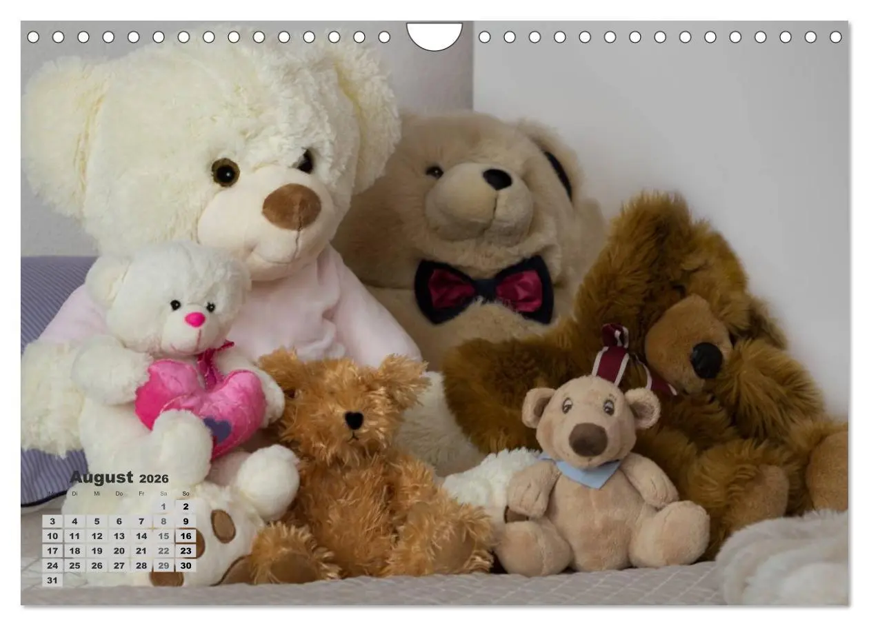Bild: 9783457973943 | Teddys, wollen wir Kalender anschauen? (Wandkalender 2026 DIN A4...