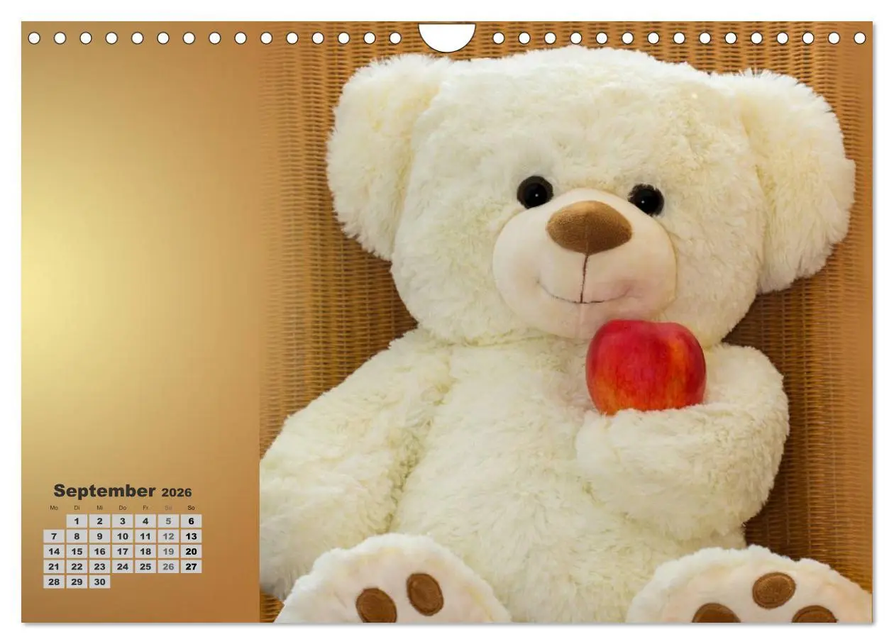 Bild: 9783457973943 | Teddys, wollen wir Kalender anschauen? (Wandkalender 2026 DIN A4...