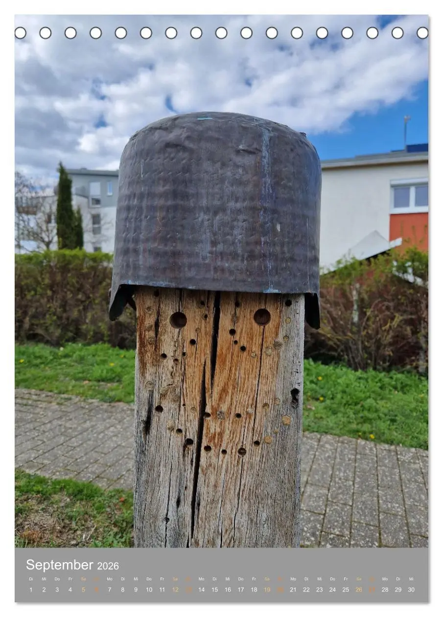 Bild: 9783516373943 | Gesichter im Alltag (Tischkalender 2026 DIN A5 hoch), CALVENDO...