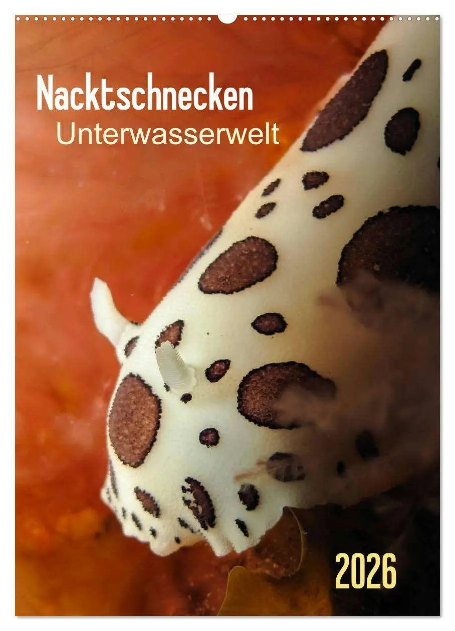Cover: 9783516443943 | Nacktschnecken - Unterwasserwelt 2026 (Wandkalender 2026 DIN A2...