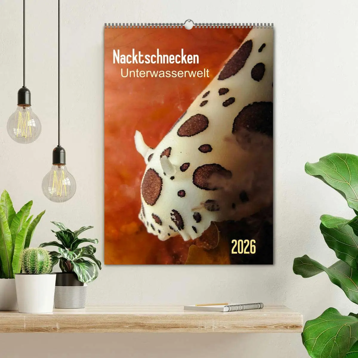 Bild: 9783516443943 | Nacktschnecken - Unterwasserwelt 2026 (Wandkalender 2026 DIN A2...