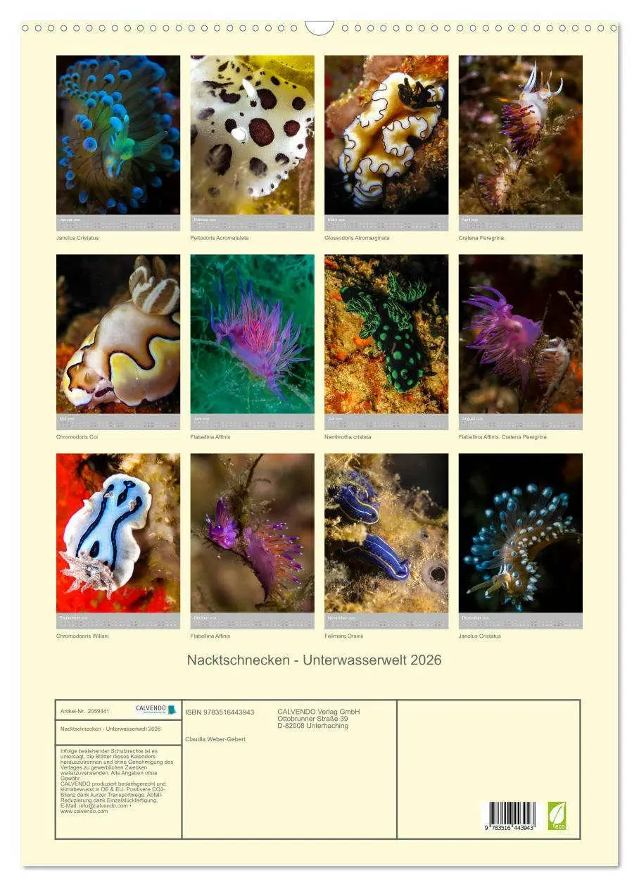 Bild: 9783516443943 | Nacktschnecken - Unterwasserwelt 2026 (Wandkalender 2026 DIN A2...
