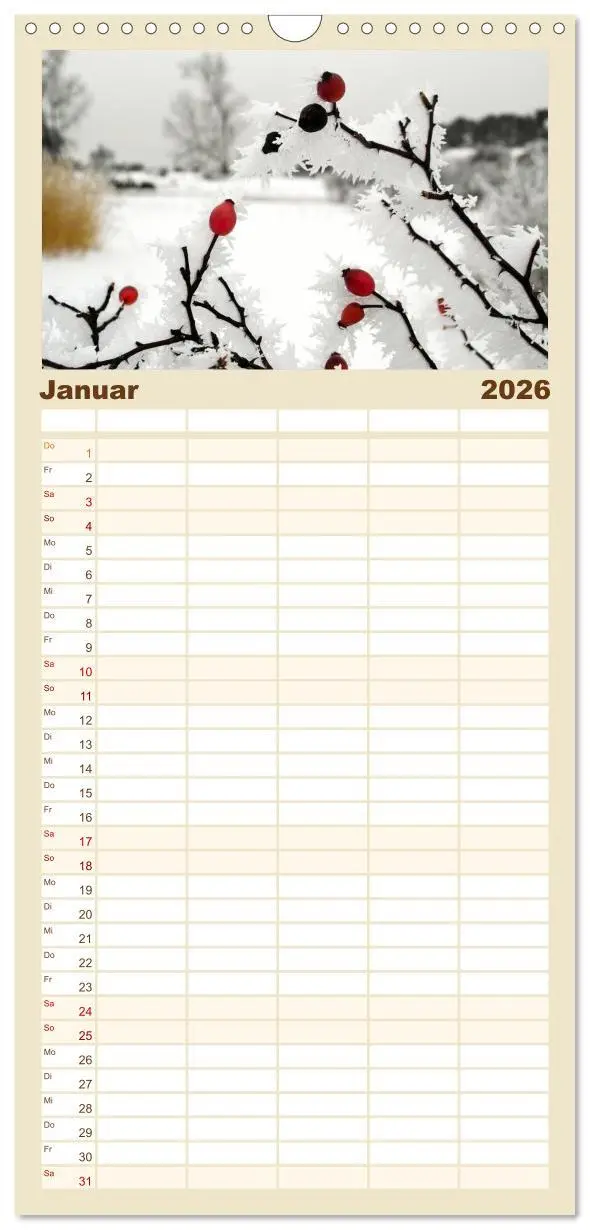 Bild: 9783516513943 | Familienplaner 2026 - Usedomfotos mit 5 Spalten (Wandkalender, 21 x...