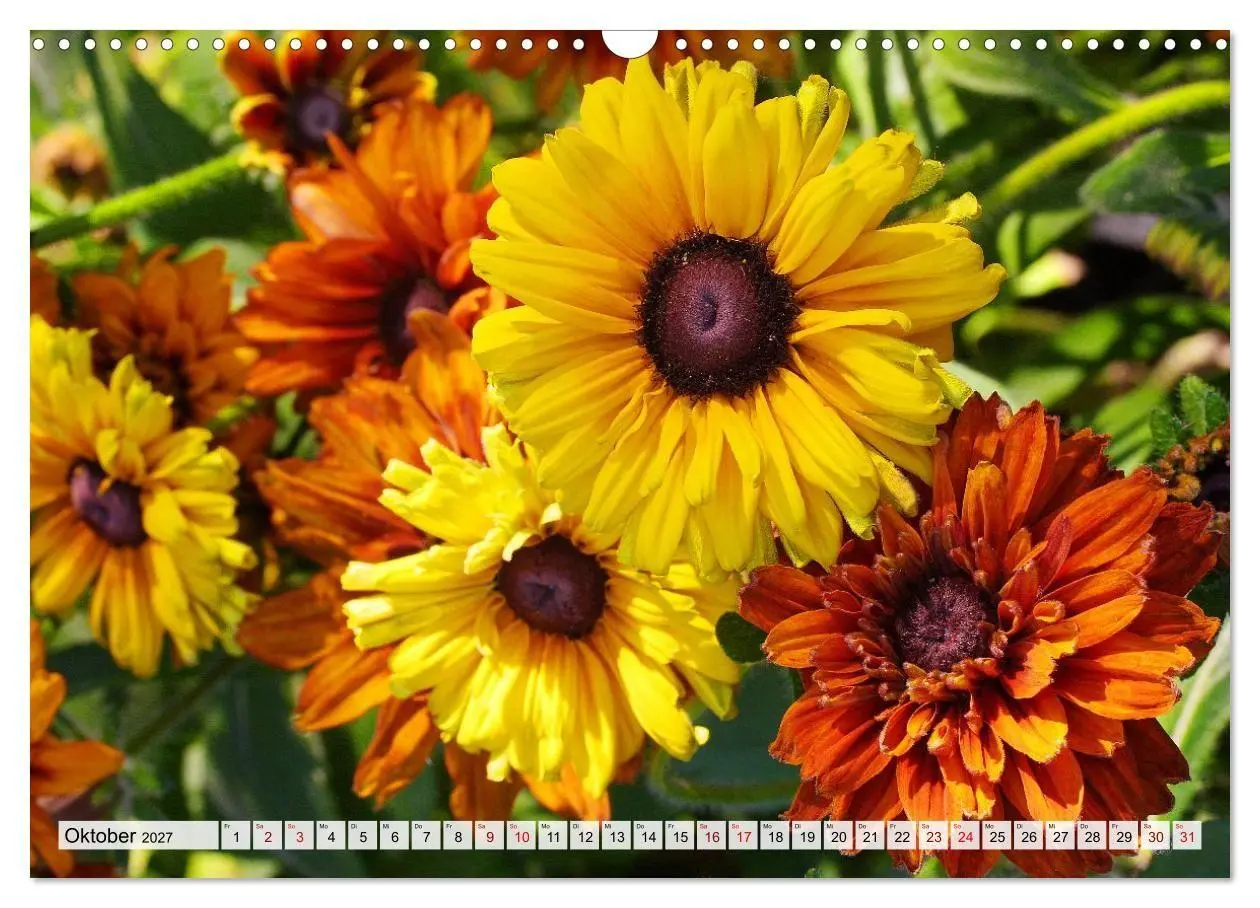 Bild: 9783516753943 | Blumen, bunt gemischt (Wandkalender 2027 DIN A3 quer), CALVENDO...