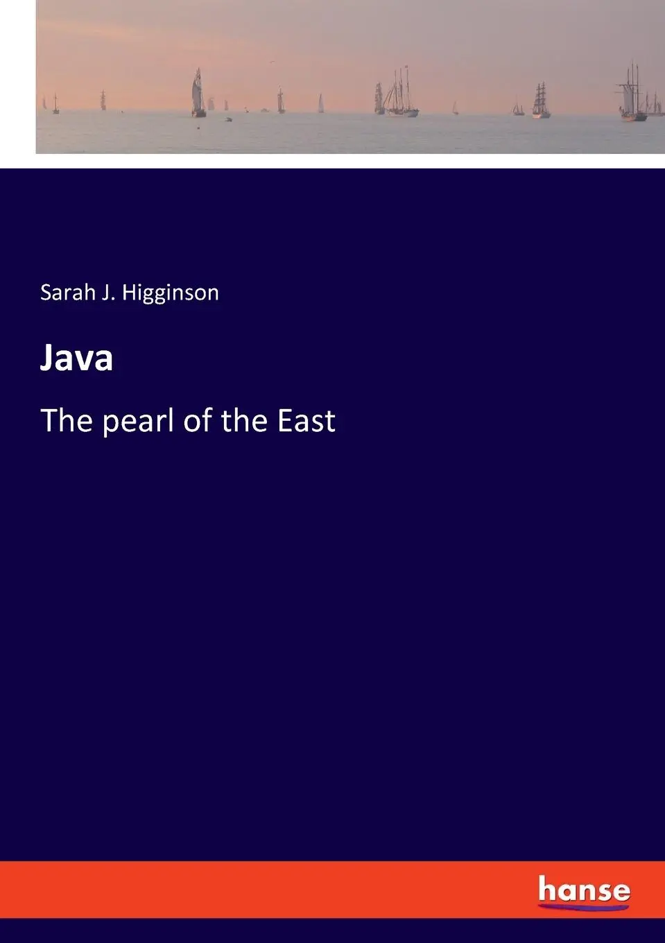Java - Sarah J Higginson Kartoniert (TB)