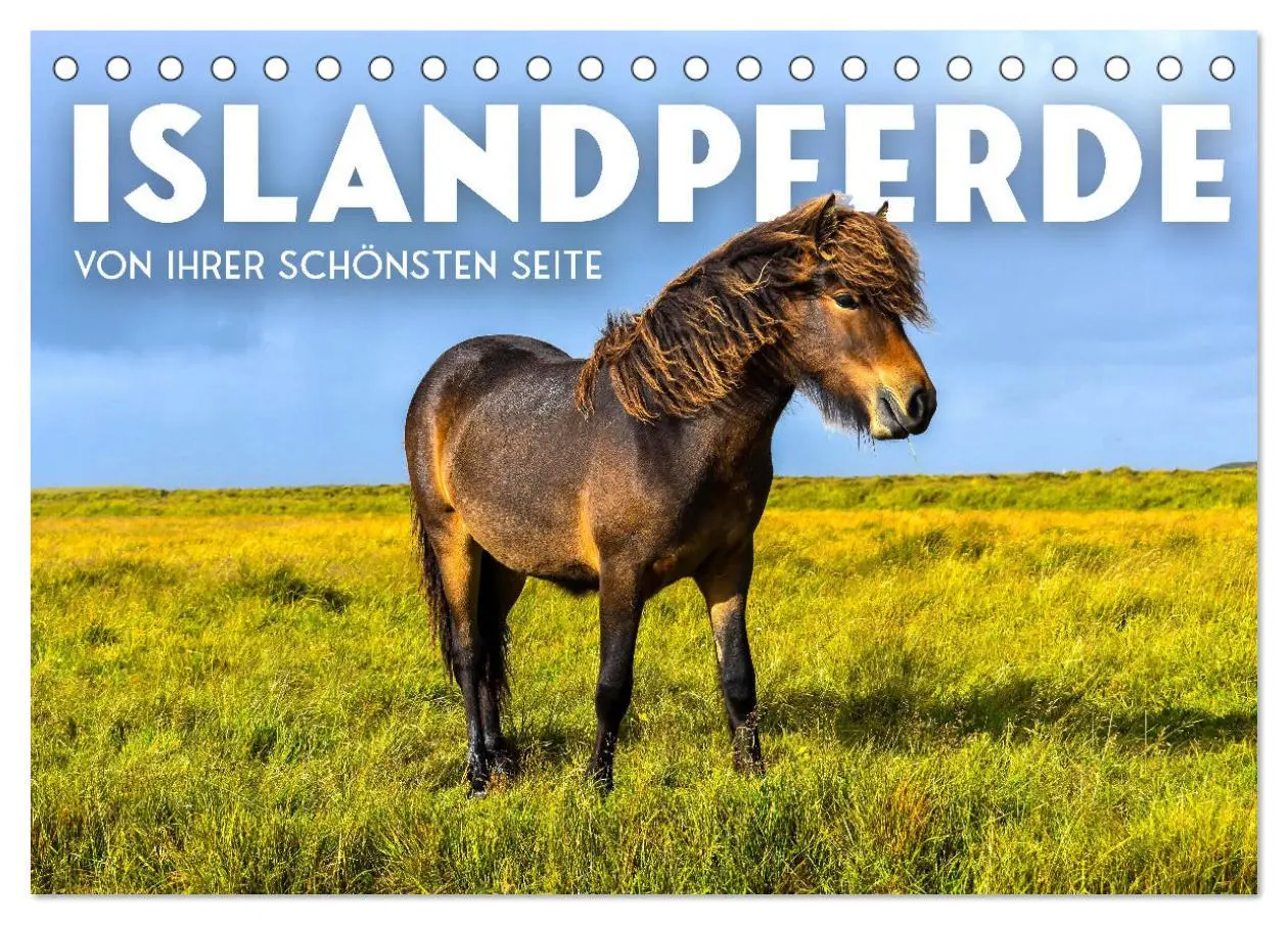 Cover: 9783457554043 | Islandpferde - Von ihrer schönsten Seite (Tischkalender 2026 DIN A5...