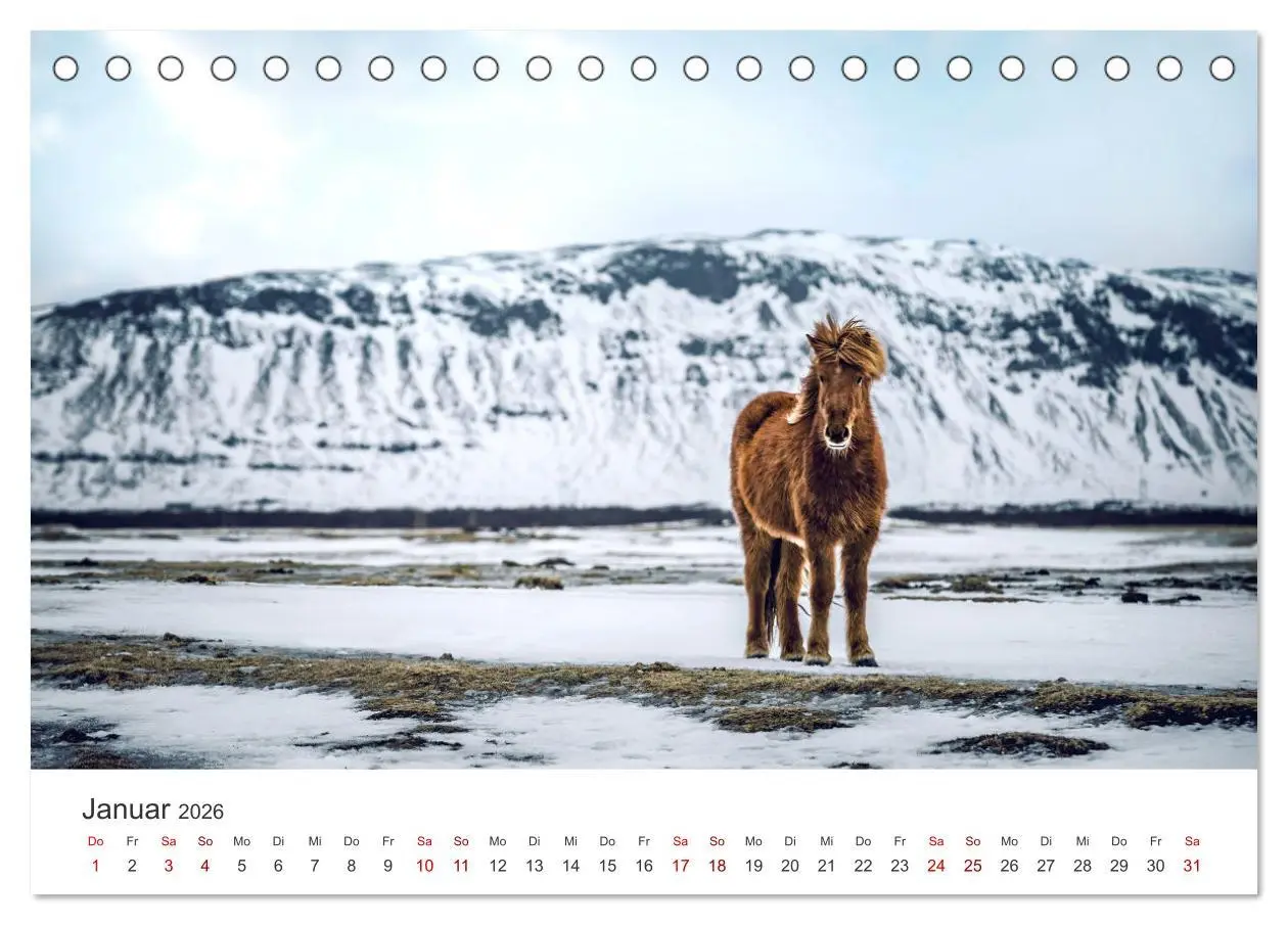 Bild: 9783457554043 | Islandpferde - Von ihrer schönsten Seite (Tischkalender 2026 DIN A5...