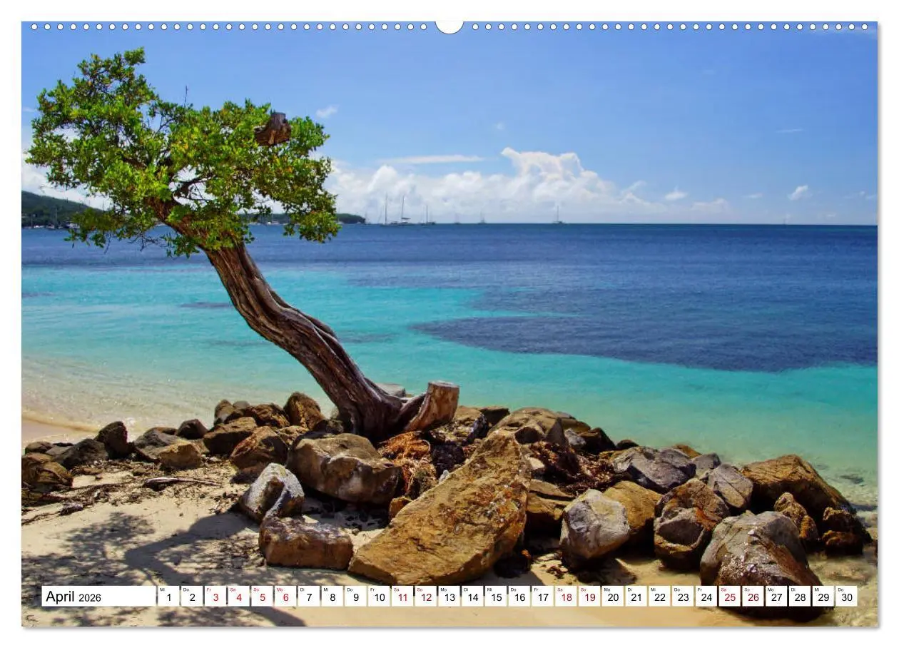 Bild: 9783457864043 | Martinique, die Traumstrände (Wandkalender 2026 DIN A2 quer),...