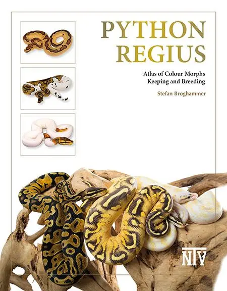Cover: 9783866594043 | Python regius | Atlas of Colour Morphs, Keeping and Breeding | Buch