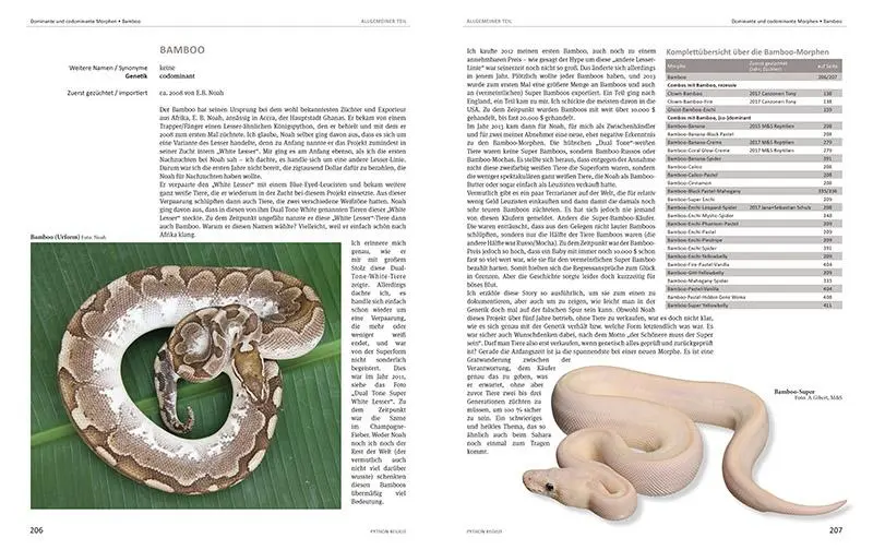 Bild: 9783866594043 | Python regius | Atlas of Colour Morphs, Keeping and Breeding | Buch