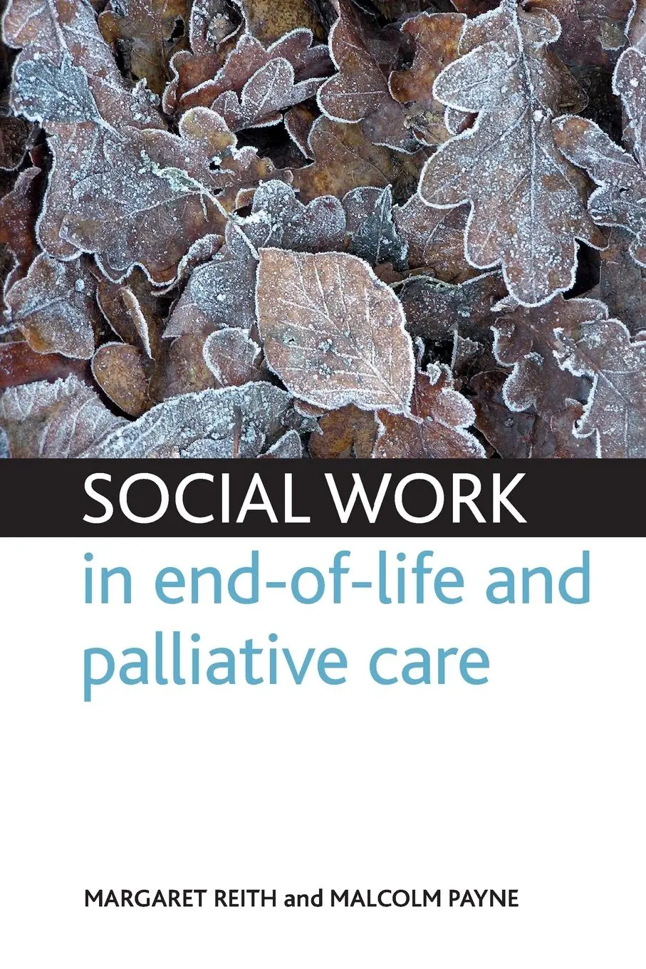 Cover: 9781847424143 | Social work in end-of-life and palliative care | Reith (u. a.) | Buch