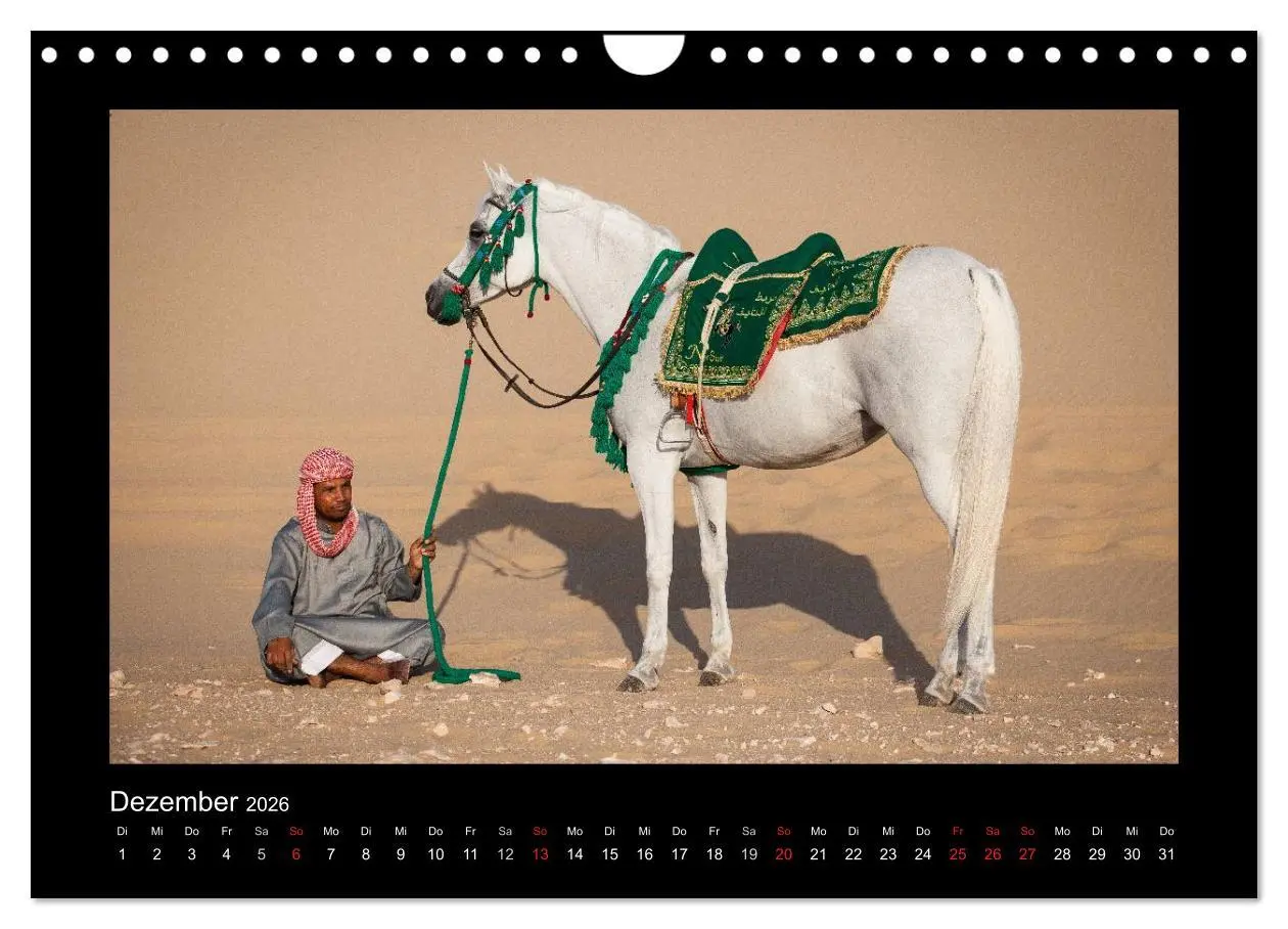 Bild: 9783516184143 | Vollblutaraber (Wandkalender 2026 DIN A4 quer), CALVENDO...