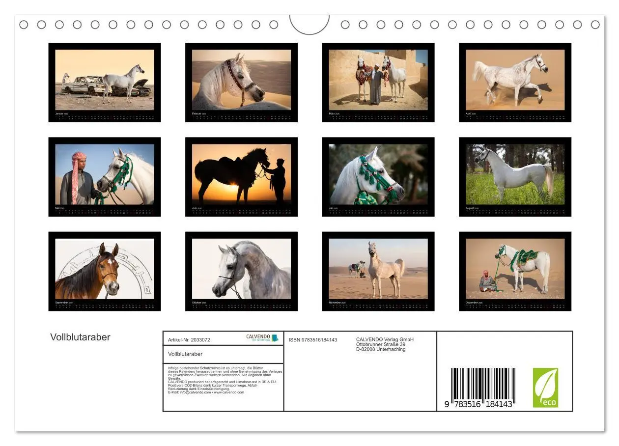 Bild: 9783516184143 | Vollblutaraber (Wandkalender 2026 DIN A4 quer), CALVENDO...
