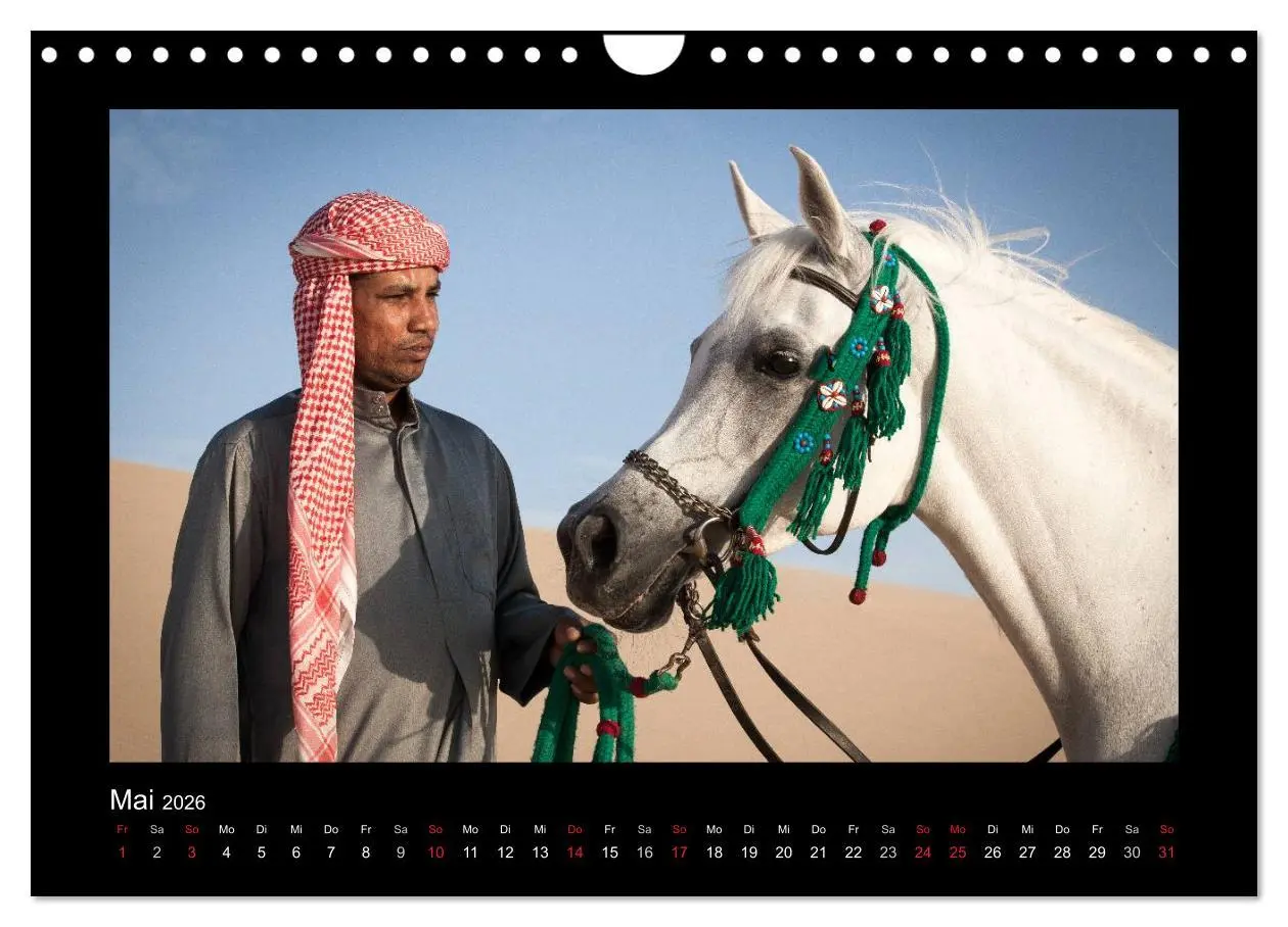 Bild: 9783516184143 | Vollblutaraber (Wandkalender 2026 DIN A4 quer), CALVENDO...