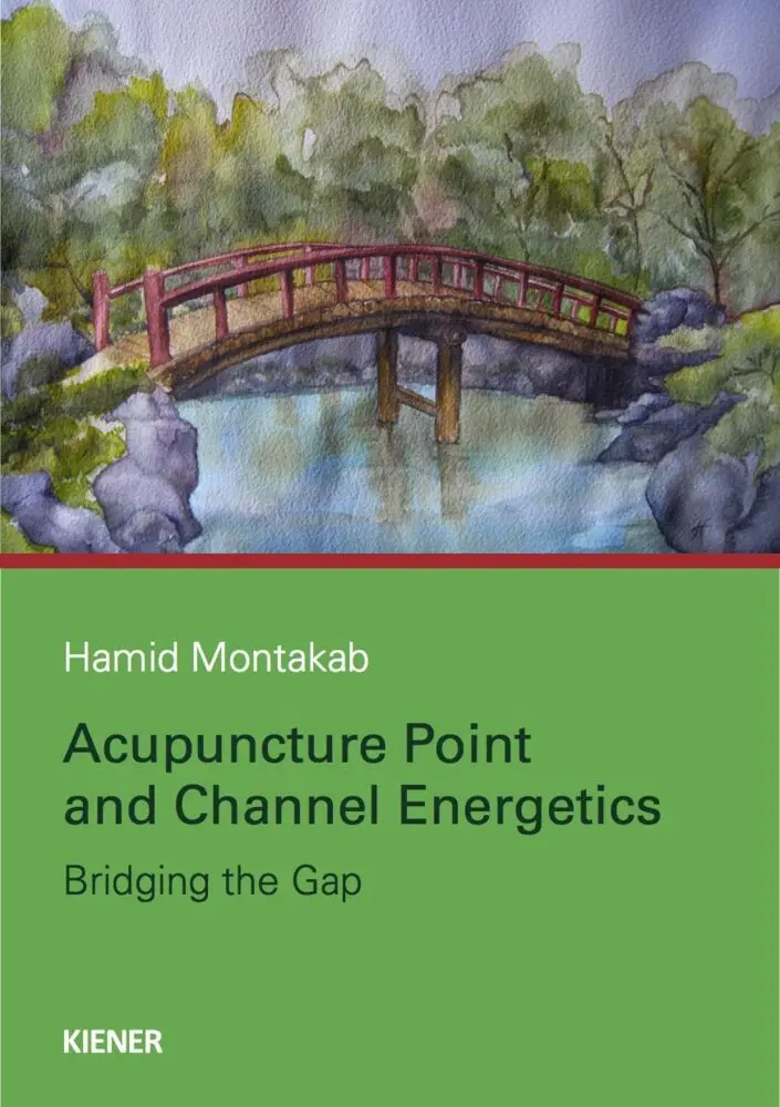 Cover: 9783943324143 | Acupuncture Point and Channel Energetics | Bridging the Gap | Montakab