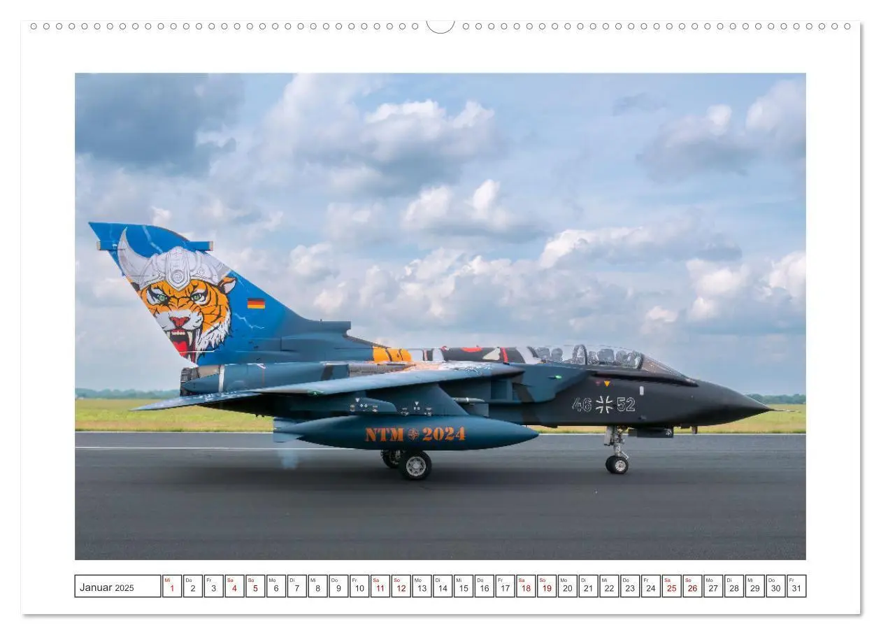 Bild: 9783457154243 | Tiger Meet Schleswig (Wandkalender 2025 DIN A2 quer), CALVENDO...