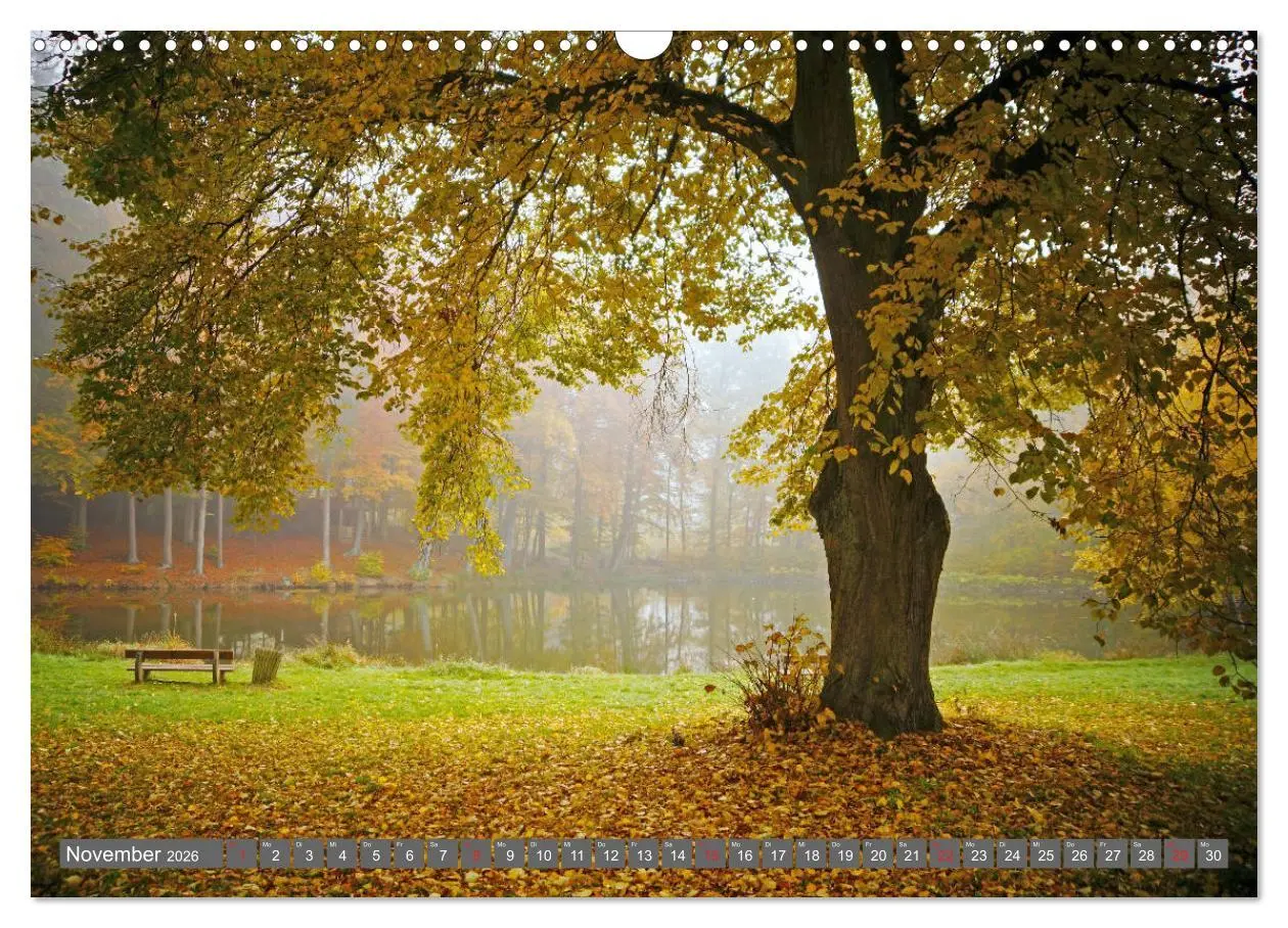Bild: 9783457774243 | Zauberhafte Schwalm (Wandkalender 2026 DIN A3 quer), CALVENDO...