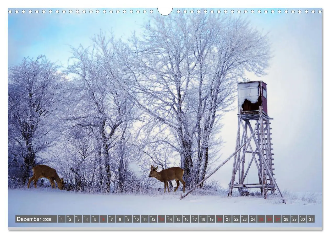 Bild: 9783457774243 | Zauberhafte Schwalm (Wandkalender 2026 DIN A3 quer), CALVENDO...
