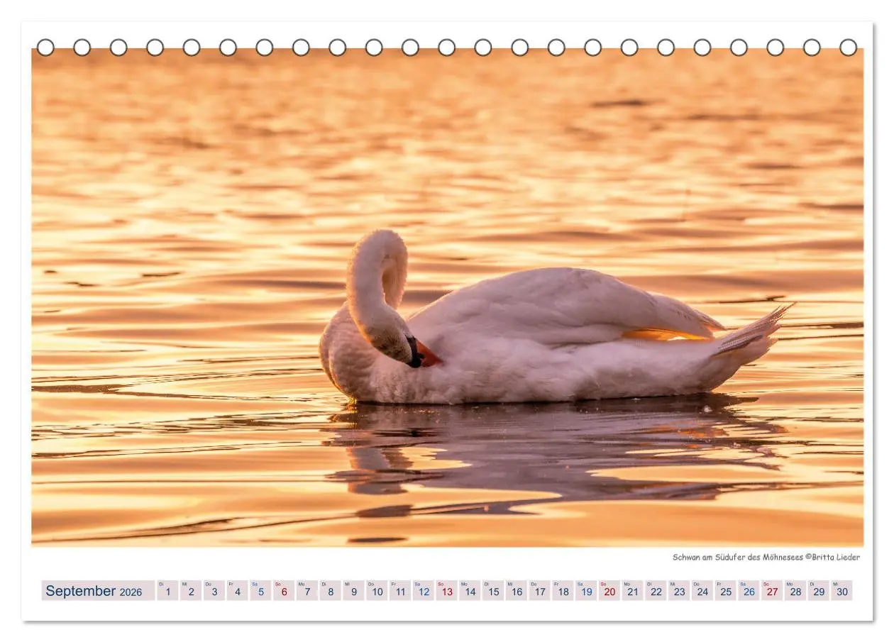 Bild: 9783457914243 | Möhnesee - das westfälische Meer (Tischkalender 2026 DIN A5 quer),...
