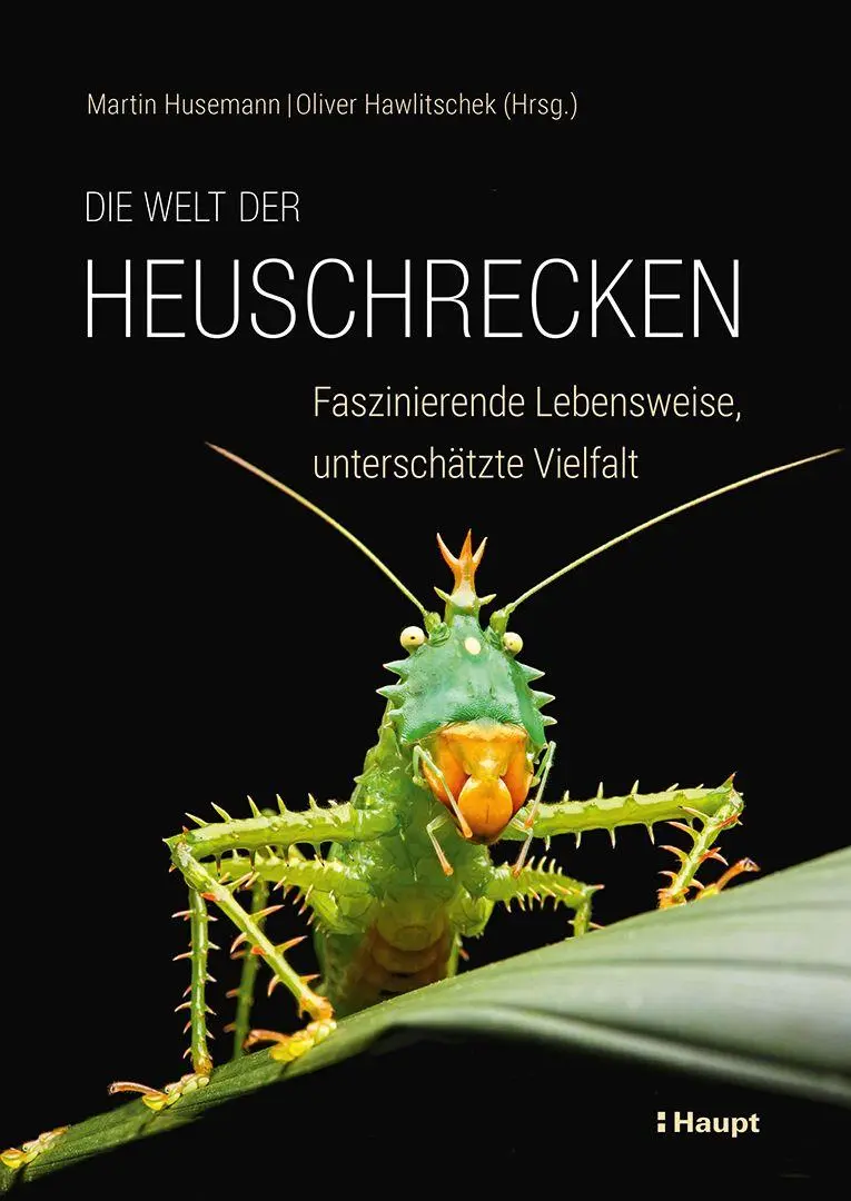 Cover: 9783258084343 | Die Welt der Heuschrecken | Martin Husemann (u. a.) | Buch | 320 S.