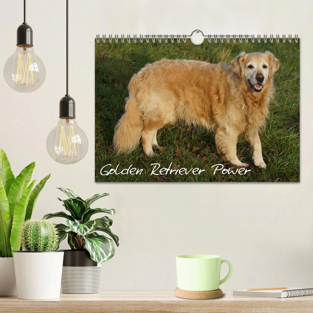 Bild: 9783516234343 | Golden Retriever Power (Wandkalender 2026 DIN A4 quer), CALVENDO...