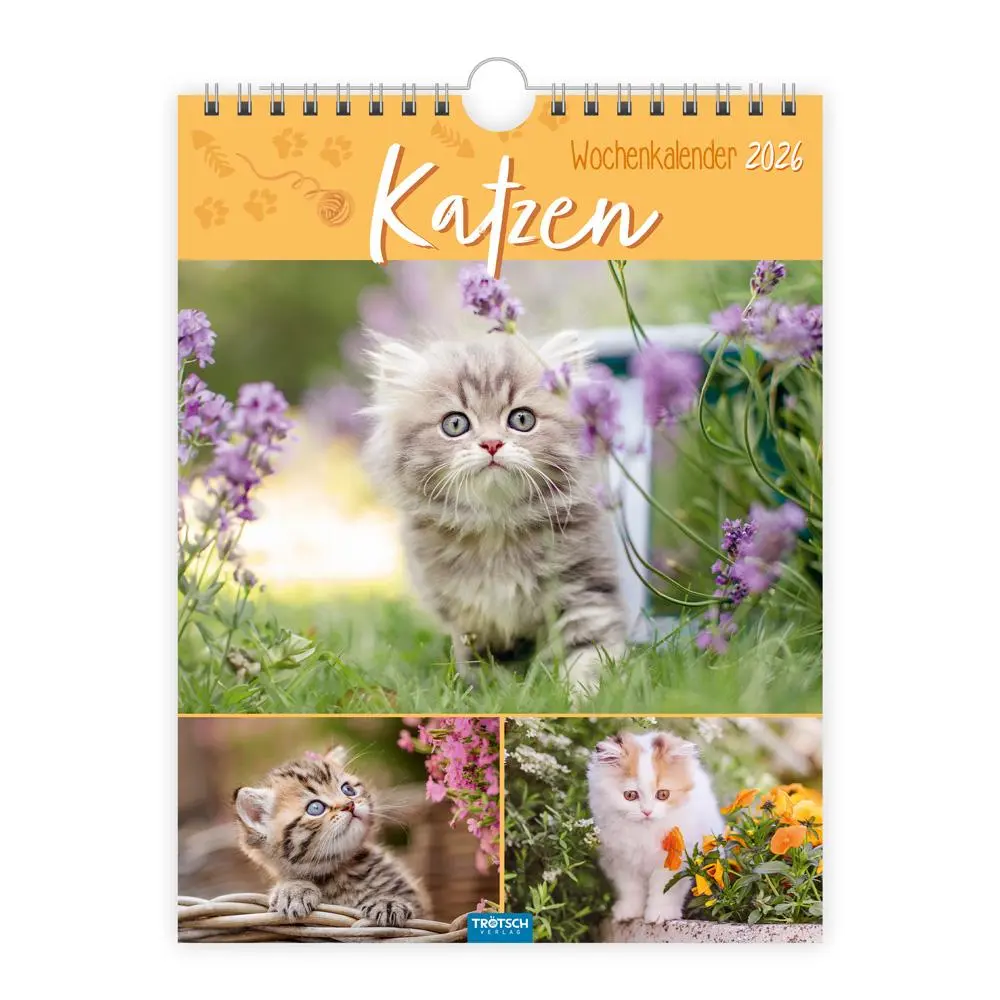 Cover: 9783988024343 | Trötsch Wochenkalender zum Hängen Katzen 2026 | Wandkalender | KG