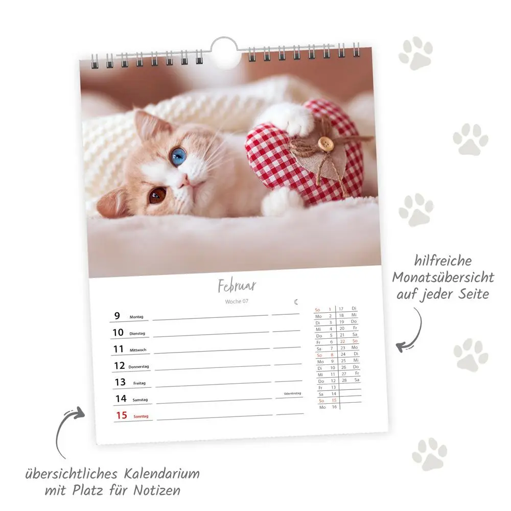 Bild: 9783988024343 | Trötsch Wochenkalender zum Hängen Katzen 2026 | Wandkalender | KG