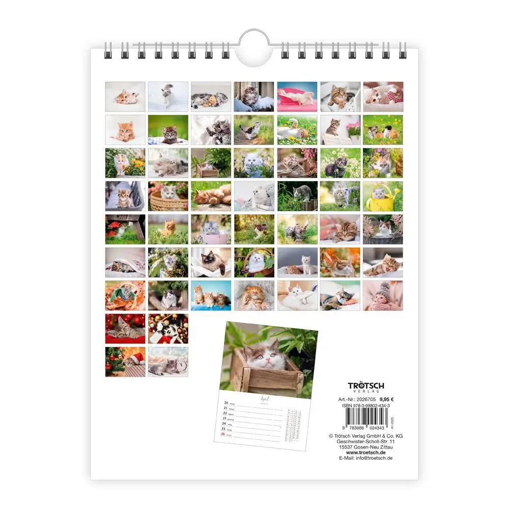 Bild: 9783988024343 | Trötsch Wochenkalender zum Hängen Katzen 2026 | Wandkalender | KG